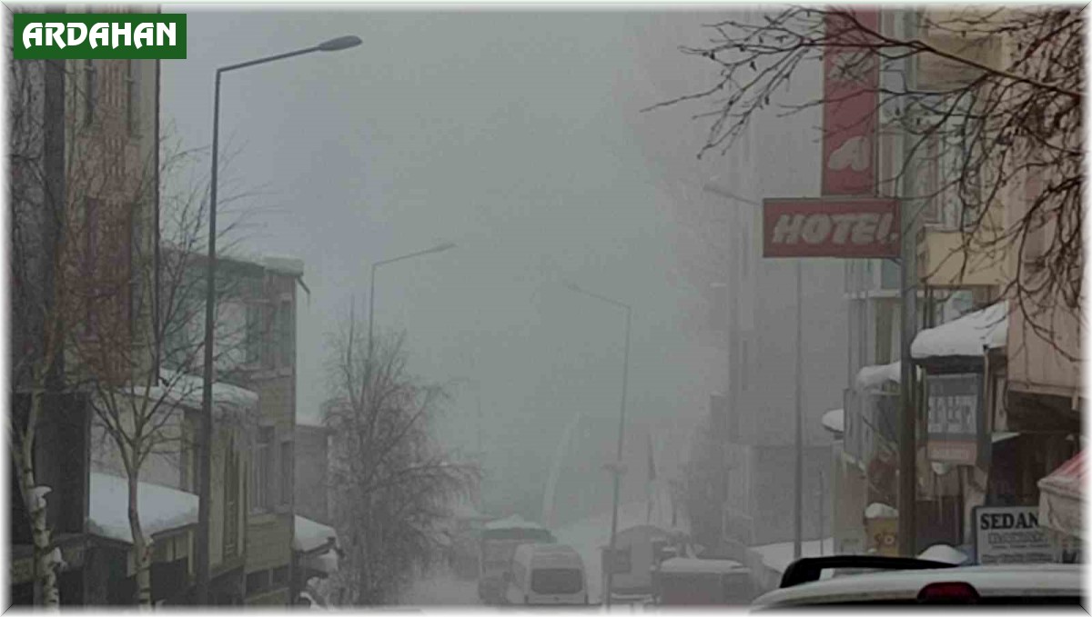 Ardahan'da soğuk hava ve sis etkili oldu