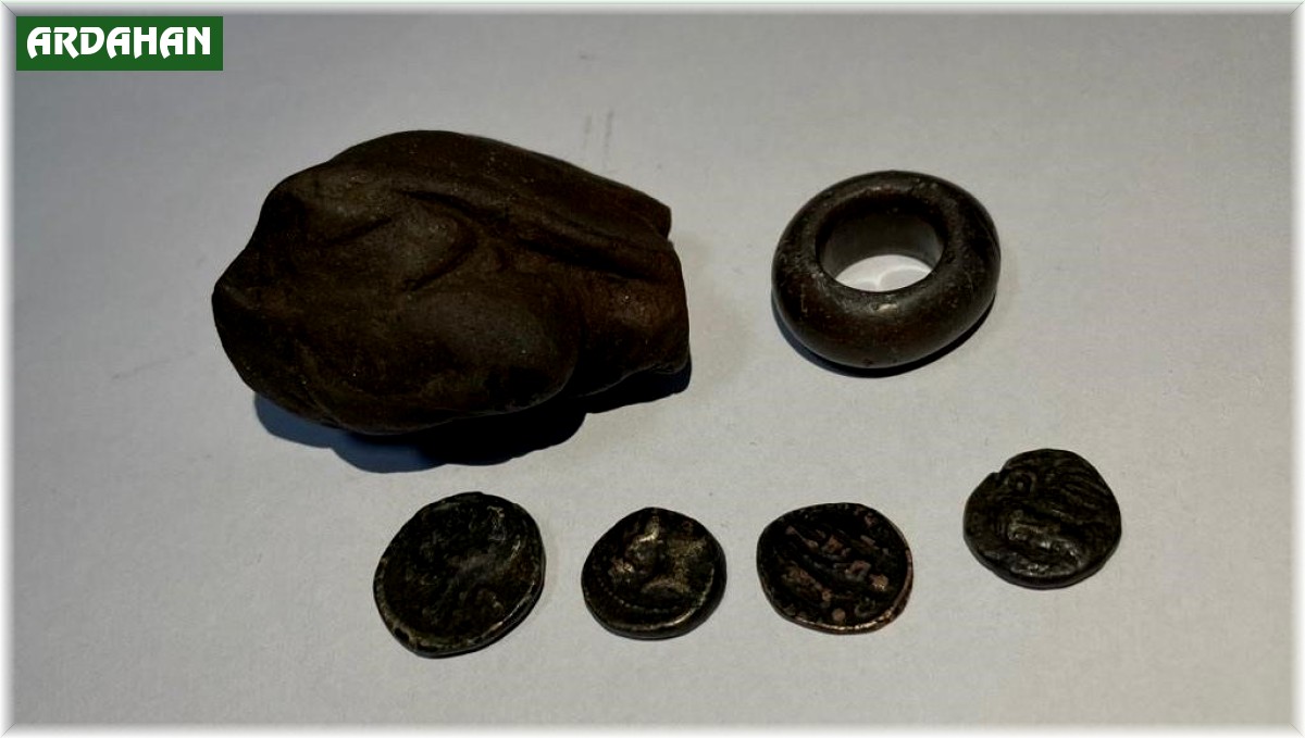 Ardahan'da tarihi eser operasyonunda 2 kişi yakalandı