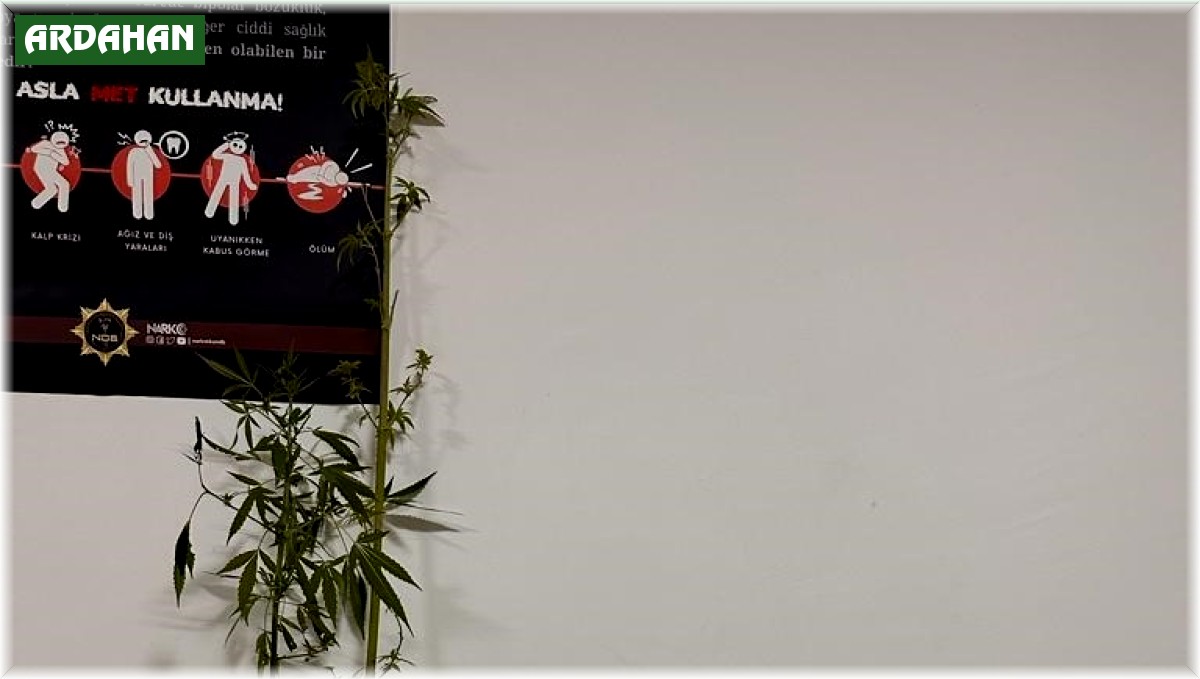 Ardahan'da uyuşturucu operasyonu