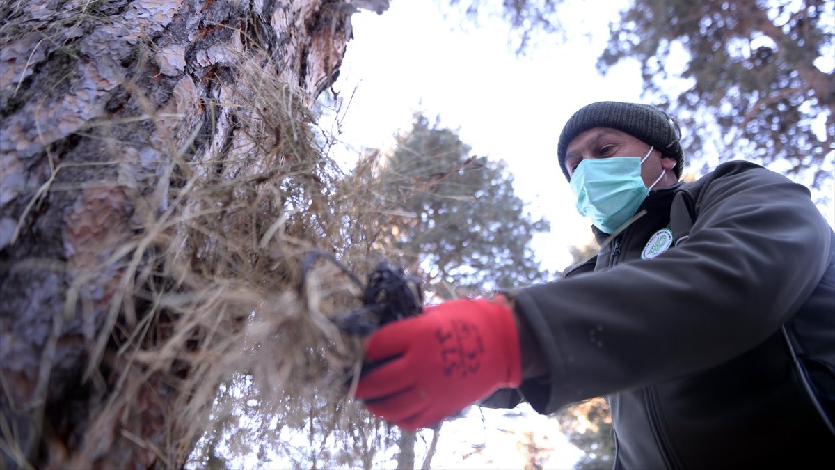Ardahan'da yaban hayatı kara kışta unutulmadı