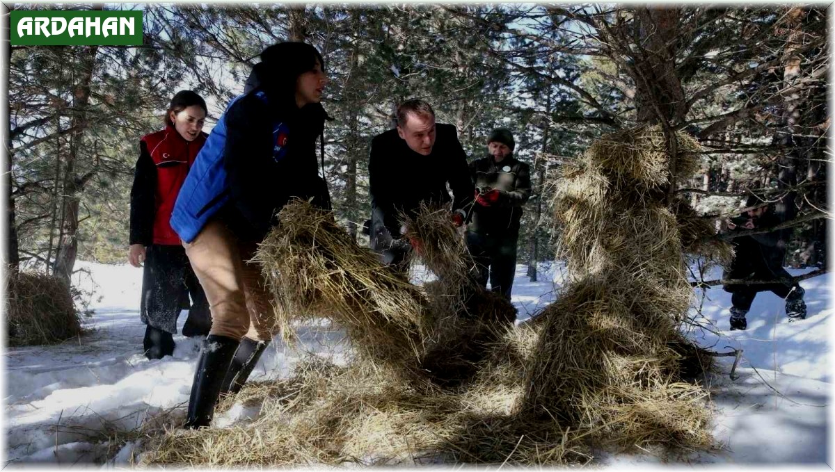 Ardahan'da yaban hayvanları için doğaya yem bırakıldı