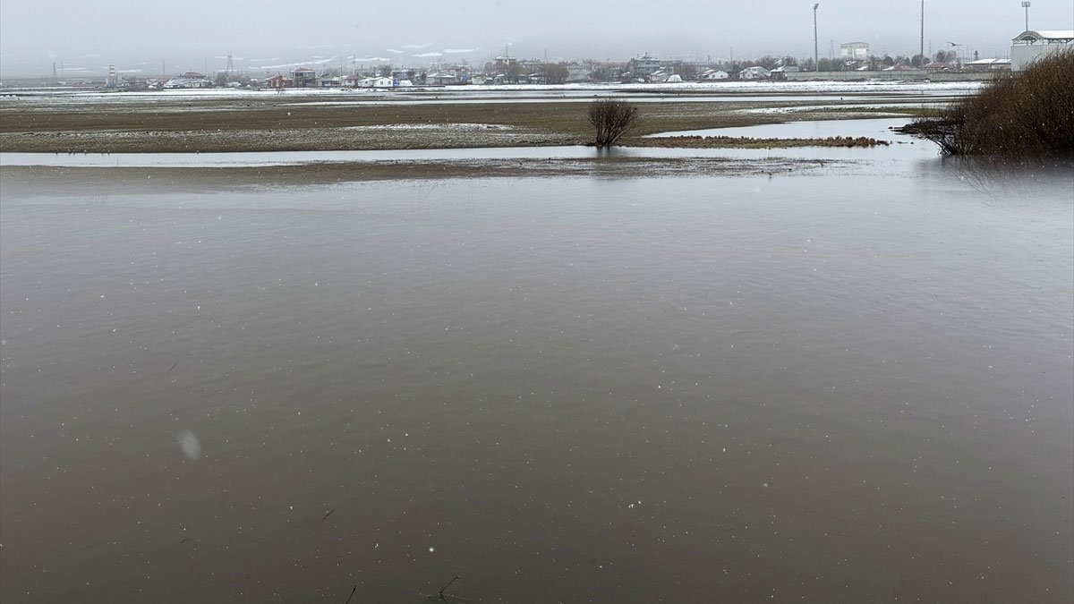 Ardahan'da yağışlar Kura Nehri'nin debisini yükseltti, bazı mera alanları su altında kaldı