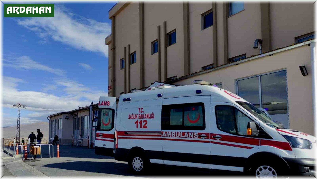 Ardahan'da yıldırım can aldı