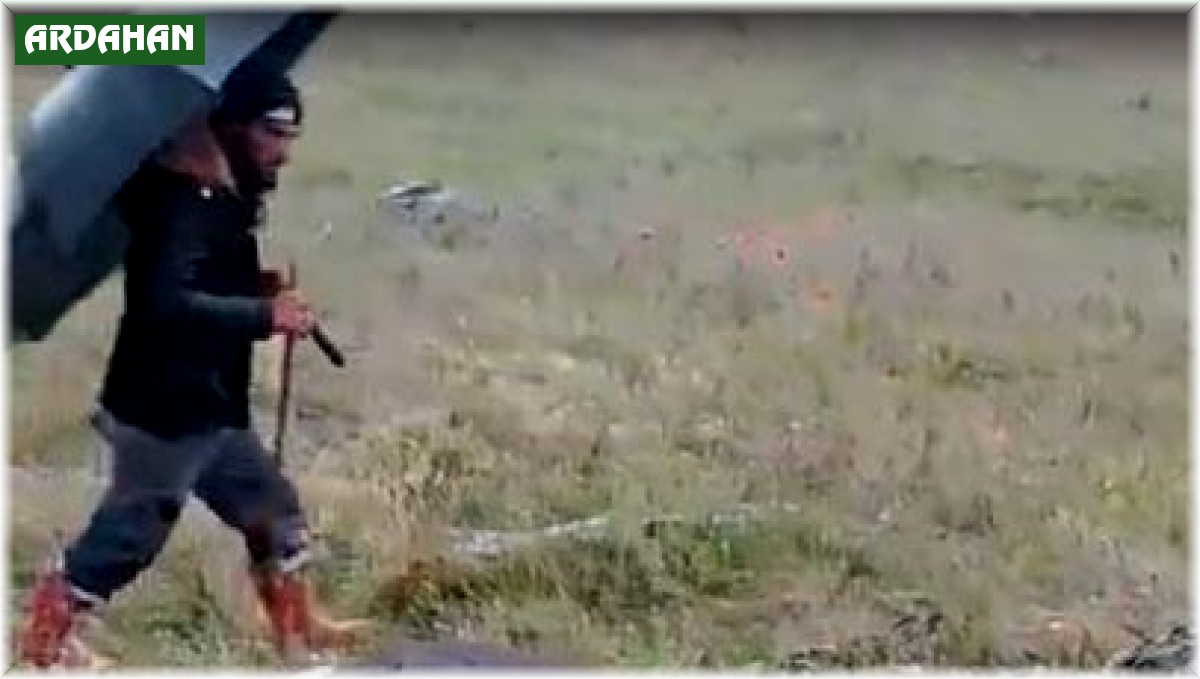 Ardahan'da yıldırım düştü: 5 büyükbaş hayvan telef oldu