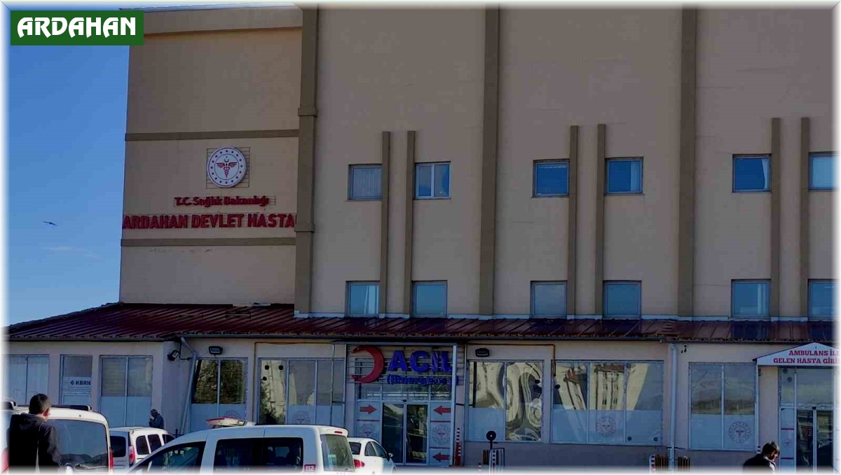 Ardahan'da yıldırımın isabet ettiği genç hayatını kaybetti