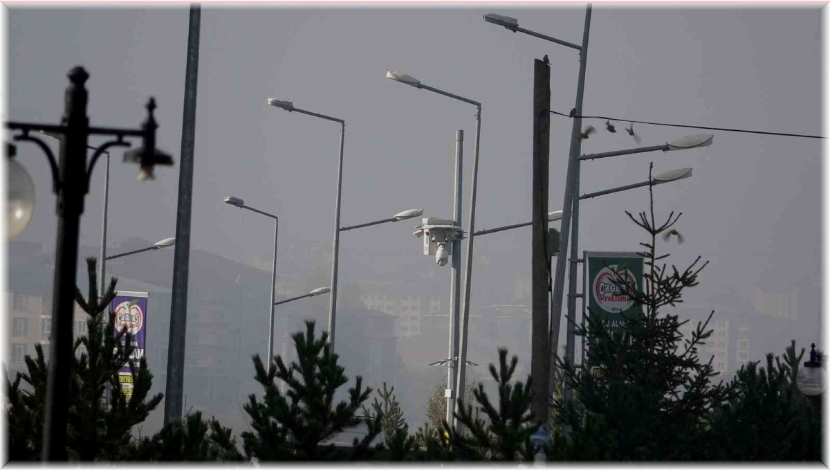 Ardahan'da yoğun sis