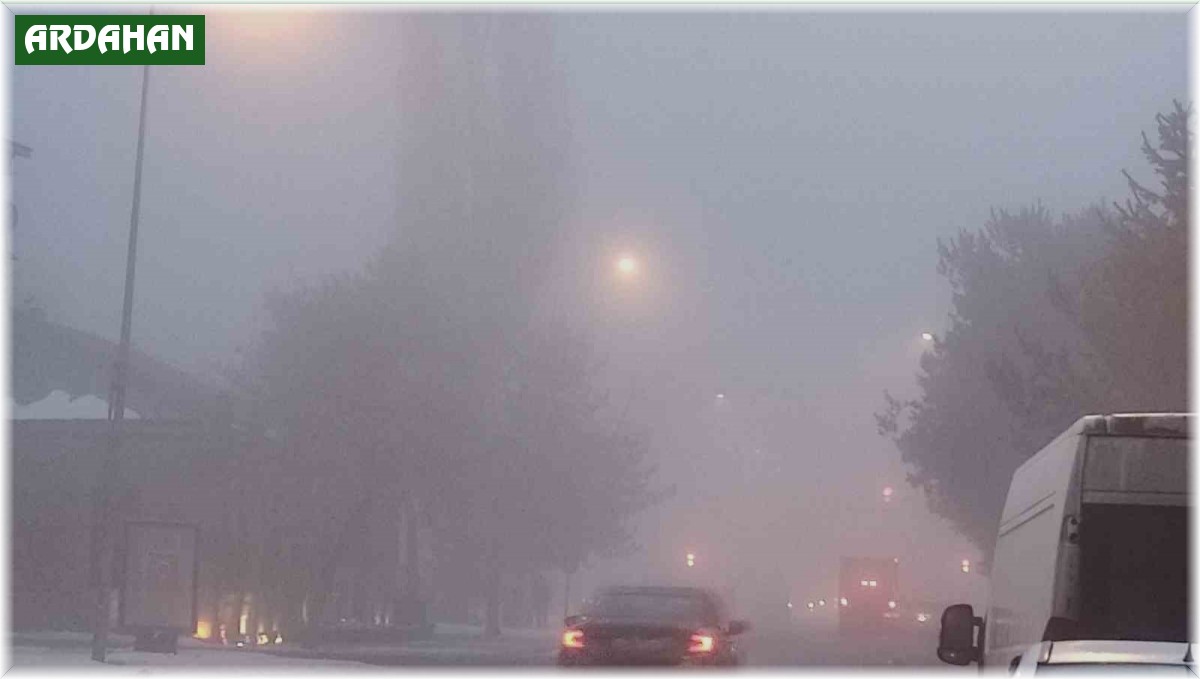 Ardahan'da yoğun sis görüş mesafesini 20 metreye kadar düşürdü