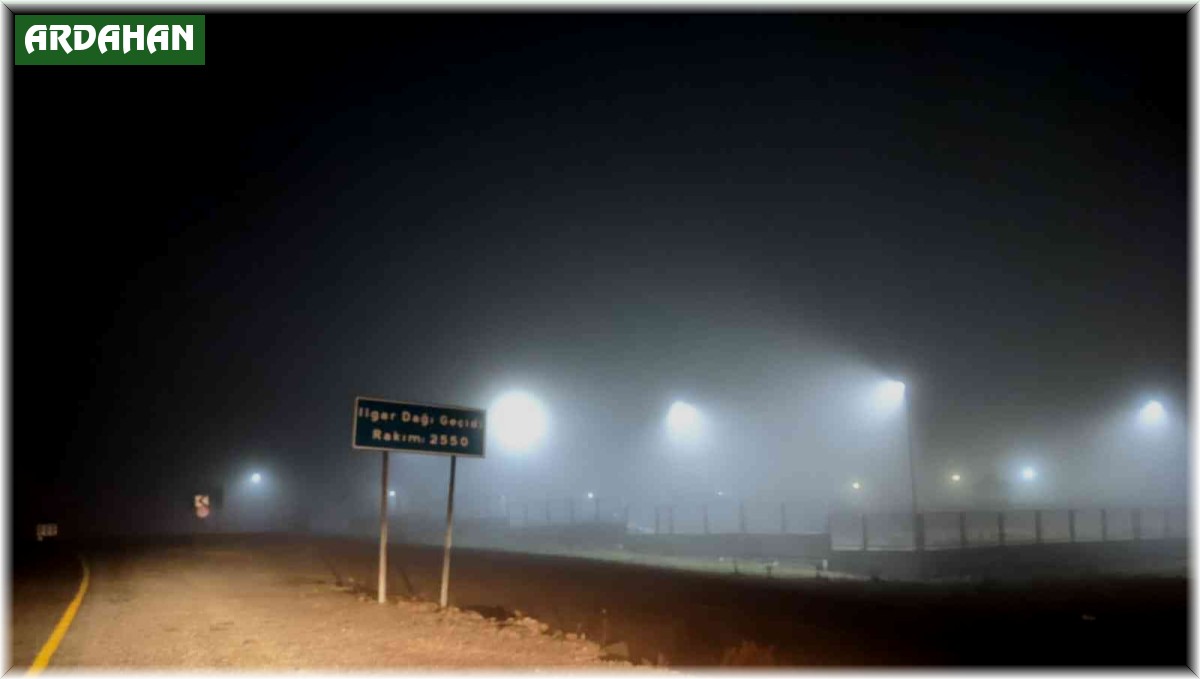 Ardahan'da yoğun sis ulaşımı aksattı