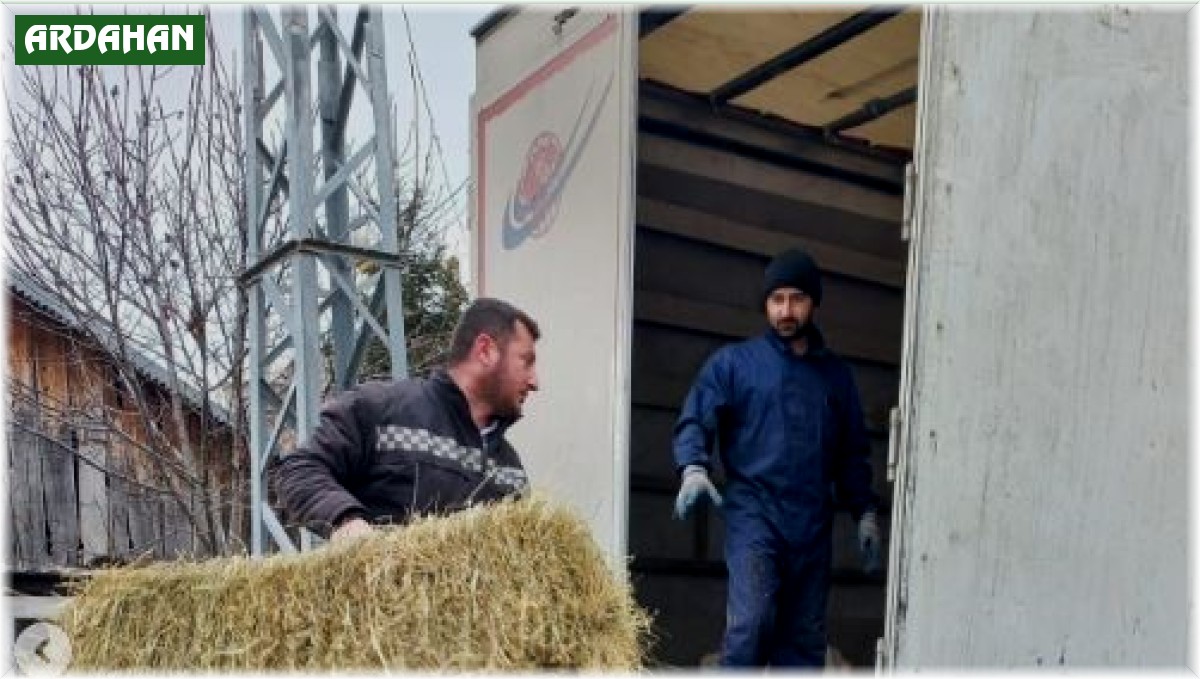 Ardahan'dan deprem bölgesine saman, yem ve 79 adet küçükbaş hayvan gönderildi