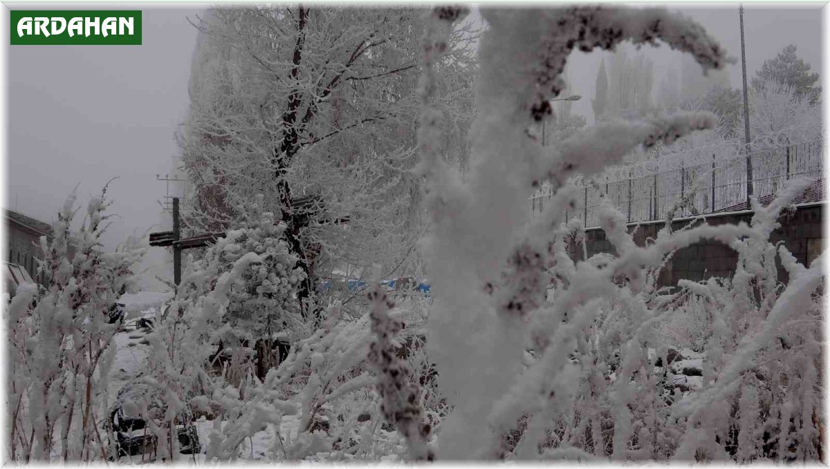 Ardahan eksi 16,7: Sibirya soğukları hayatı olumsuz etkiliyor