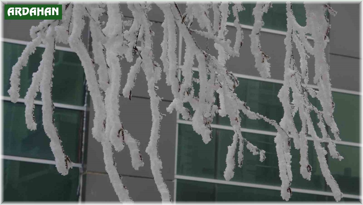 Ardahan eksi 18,6 derece ile buz tuttu