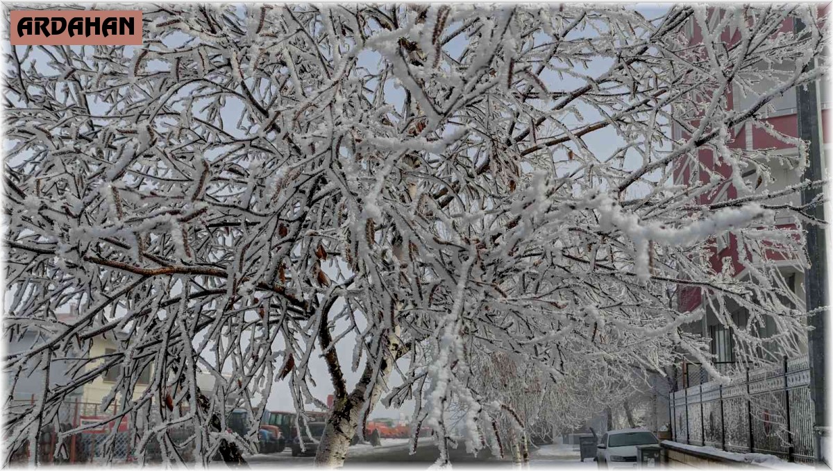Ardahan eksi 20 derece