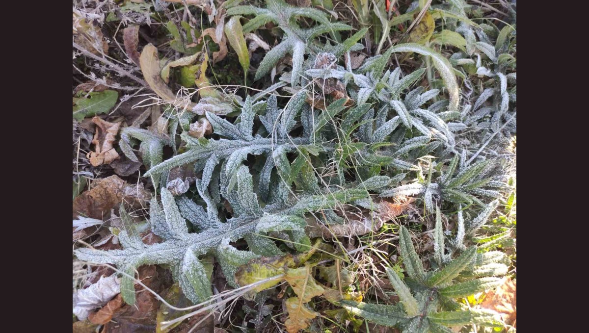 Ardahan'ın Göle ilçesi Türkiye'nin en soğuk yerleşim yeri oldu