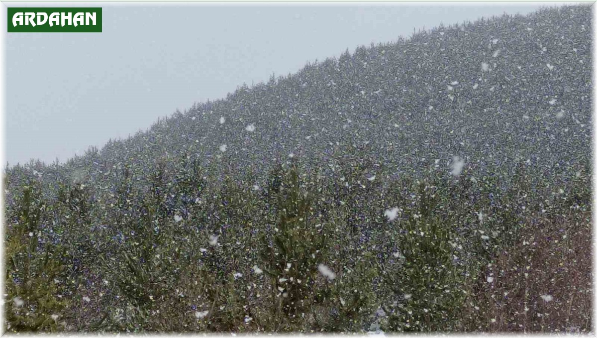 Ardahan'ın yüksek kesimlerinde kar yağışı etkili oldu