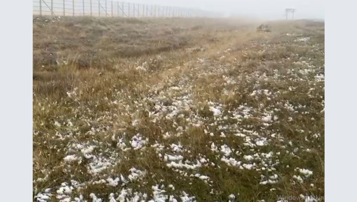 Ardahan'ın yüksek kesimlerinde kar yağışı etkili oldu
