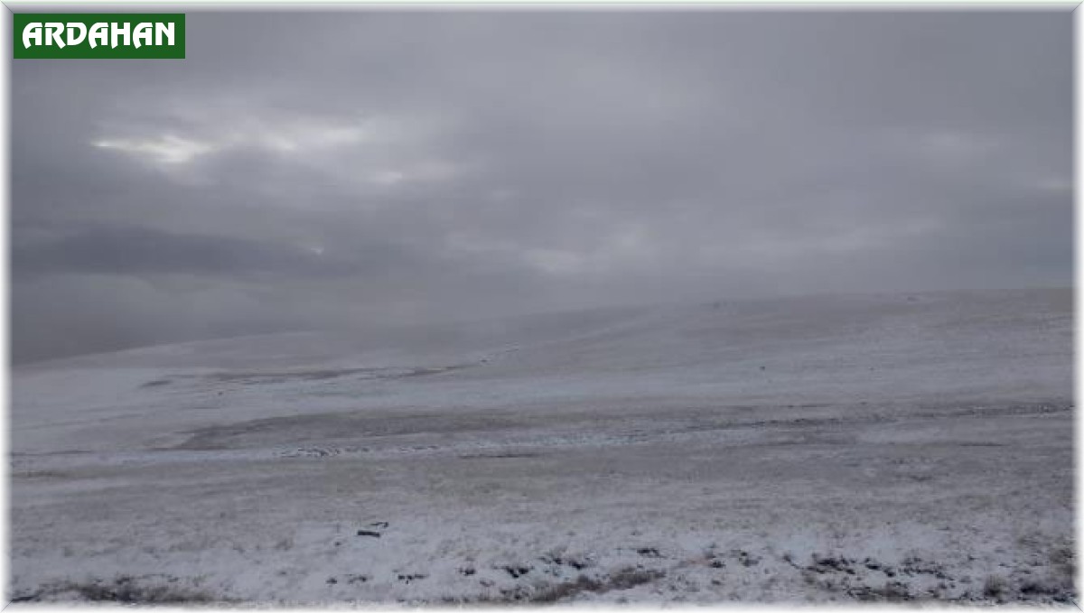 Ardahan'ın yüksek kesimlerinde karla mücadele başladı