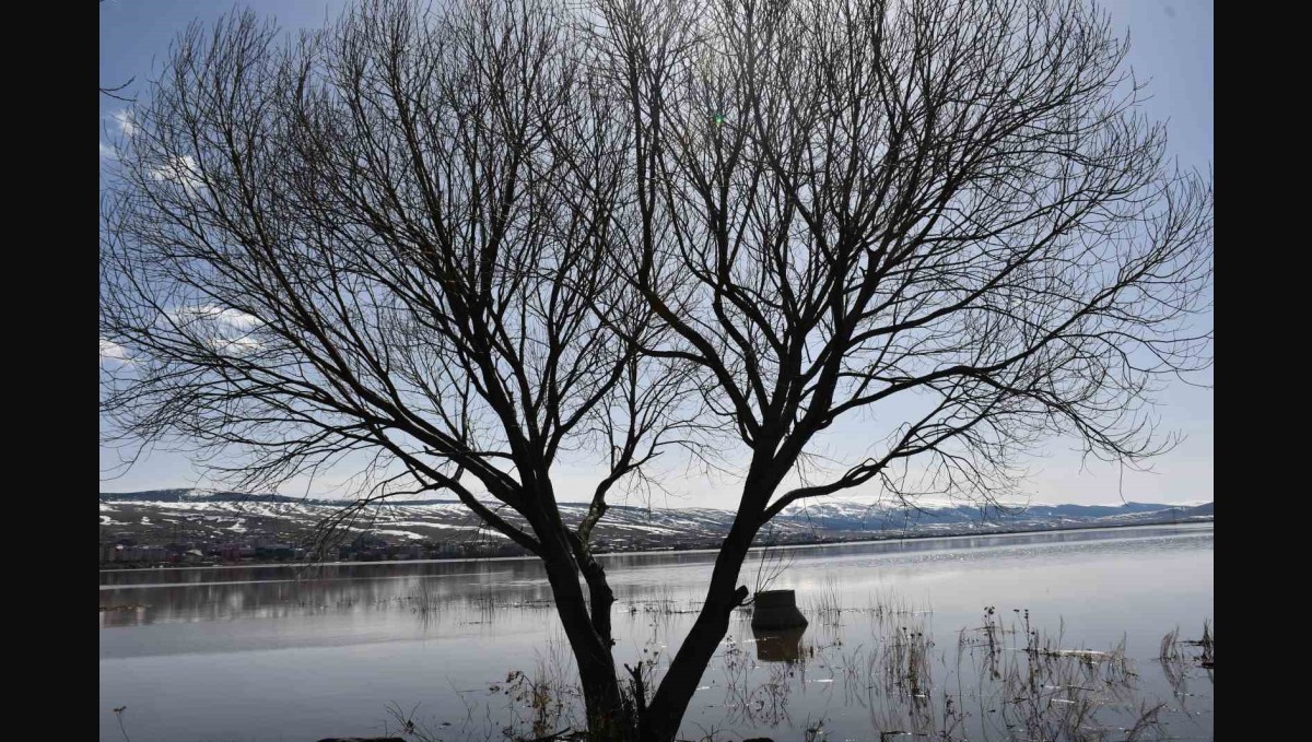 Ardahan ovası nehrin taşmasıyla yeniden sular altında kaldı