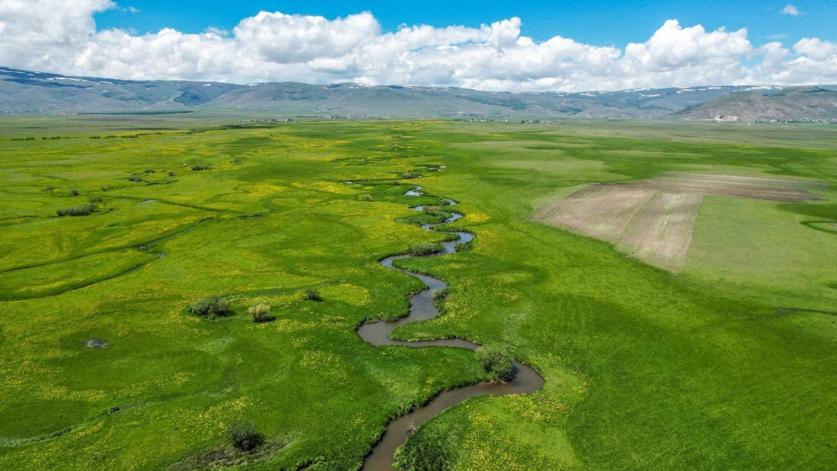 Ardahan ovasında akan derelerin oluşturduğu menderesler görsel şölen sunuyor