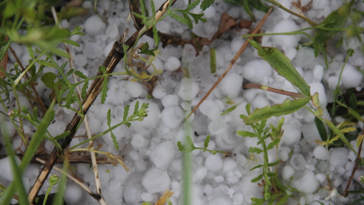 Ardahan ve Kars'ta dolu ile sağanak etkili oldu