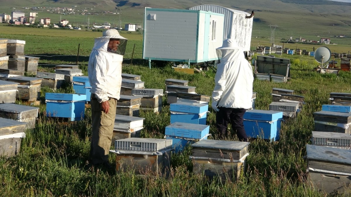 Ardahanlı arıcıların kuraklık endişesi