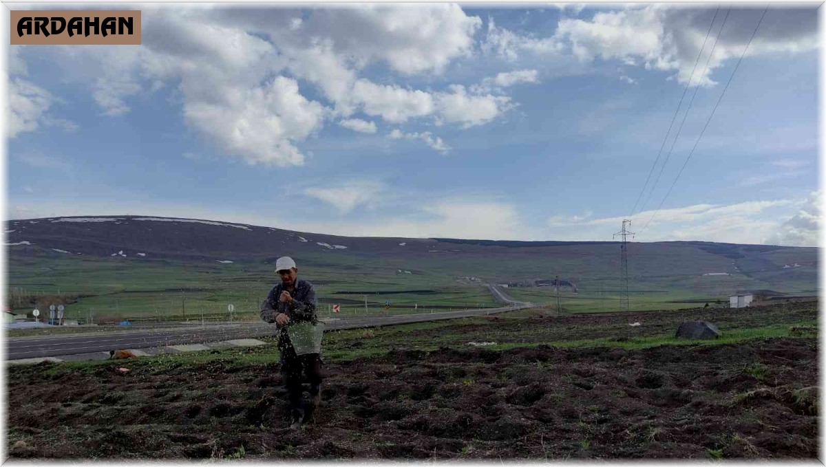 Ardahanlı çiftçiler mahsullerini iki ay geç ekti