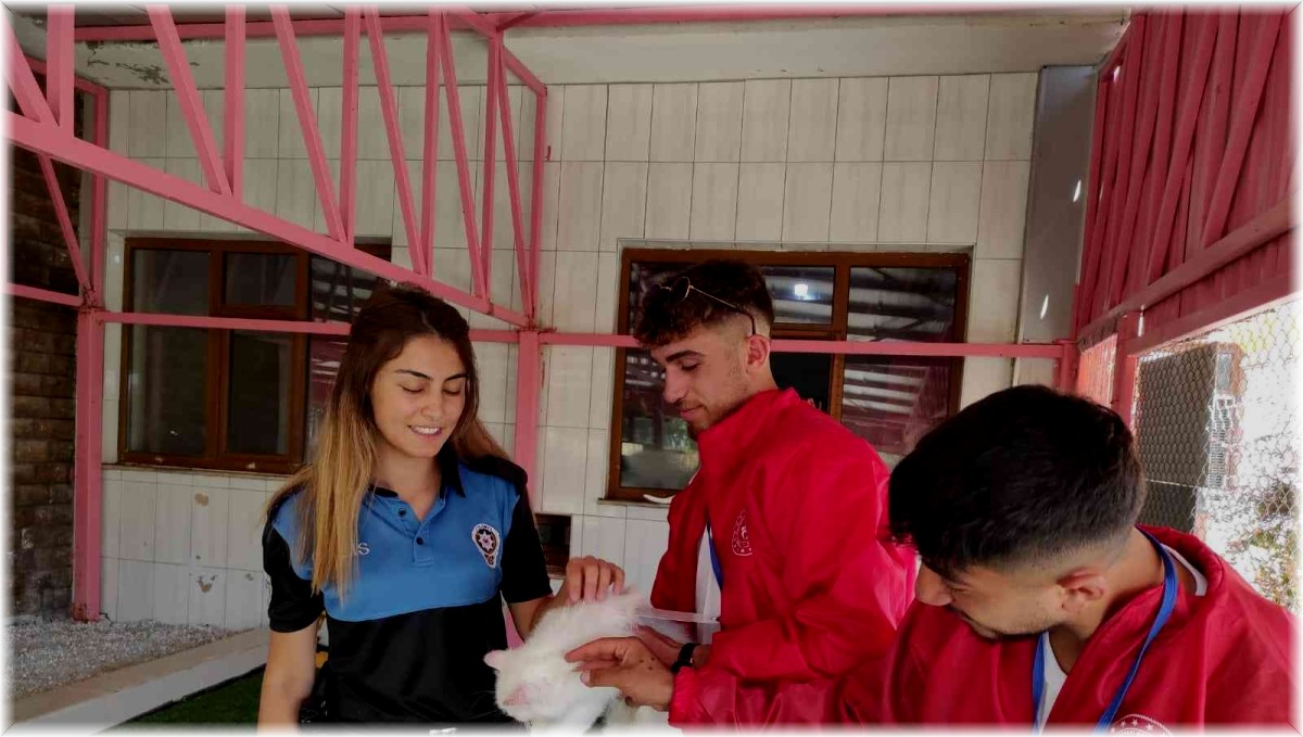 Ardahanlı öğrenciler Van Kedi Villası'nı gezdi