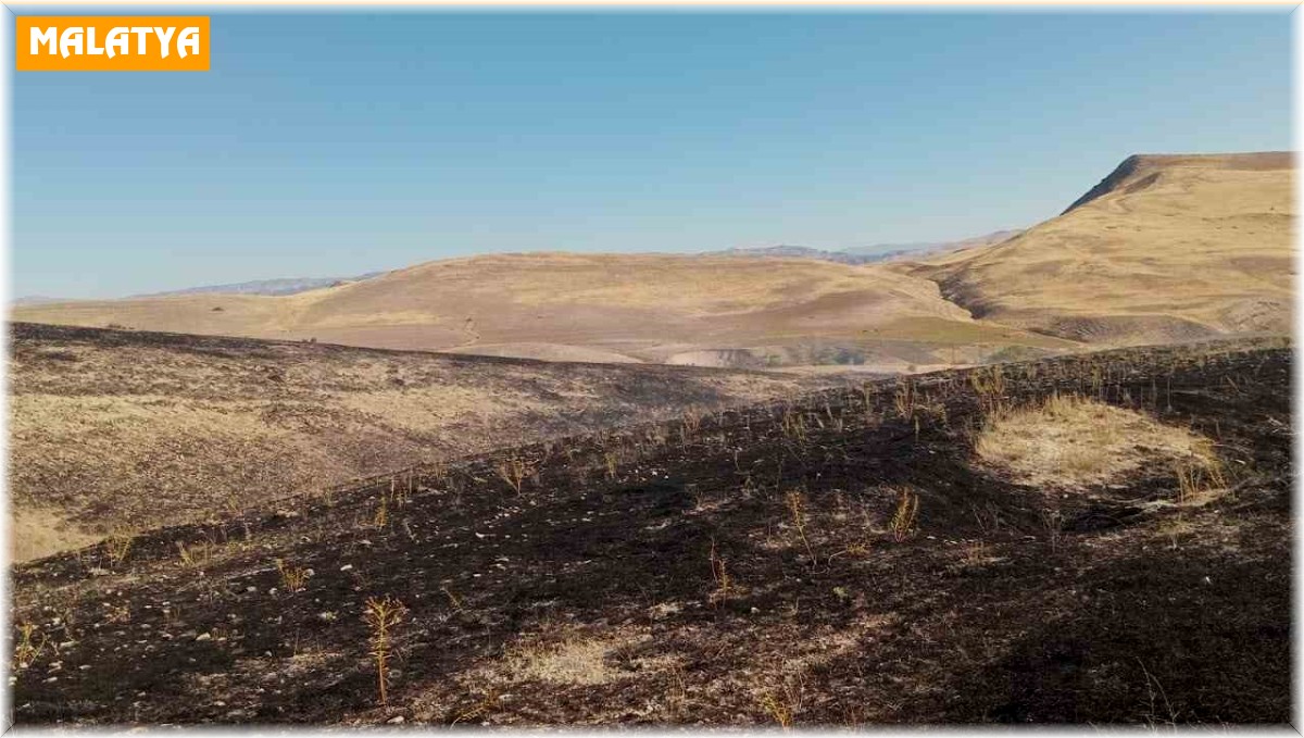 Arguvan'da anız yangını