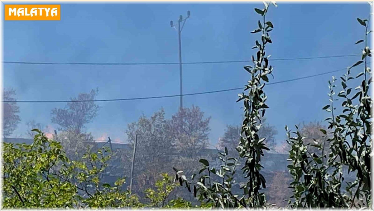 Arguvan'da çıkan yangın meyve ağaçlarına zarar verdi