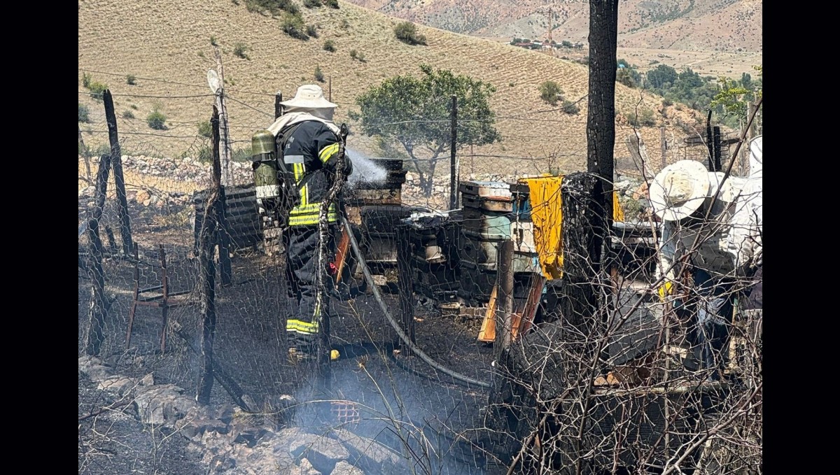 Arı kovanları yandı