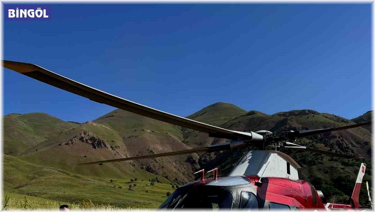 Arı sokması sonucu bilinç kaybı yaşayan hasta, ambulans helikopterle Erzurum'a sevk edildi