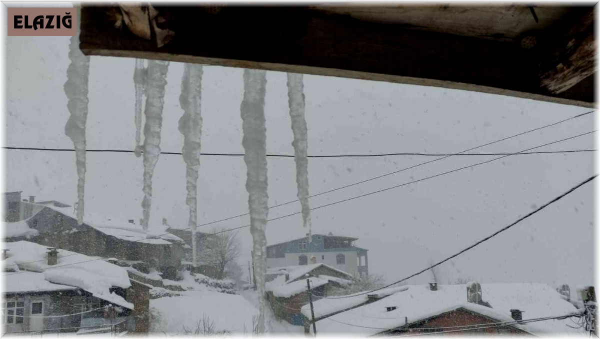 Arıcak kara teslim oldu