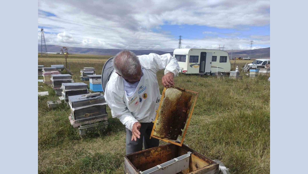 Arıcılar Birliği Başkanı Evliyaoğlu: "Arıcılıkta sonbahar bakımı ve kışlatma çok önemli"