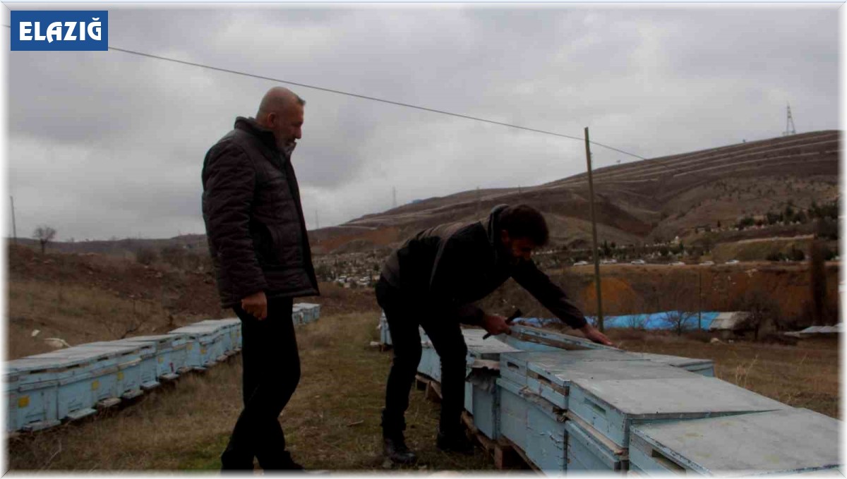 Arıcıların tek umudu bahar aylarının yağışlı geçmesi