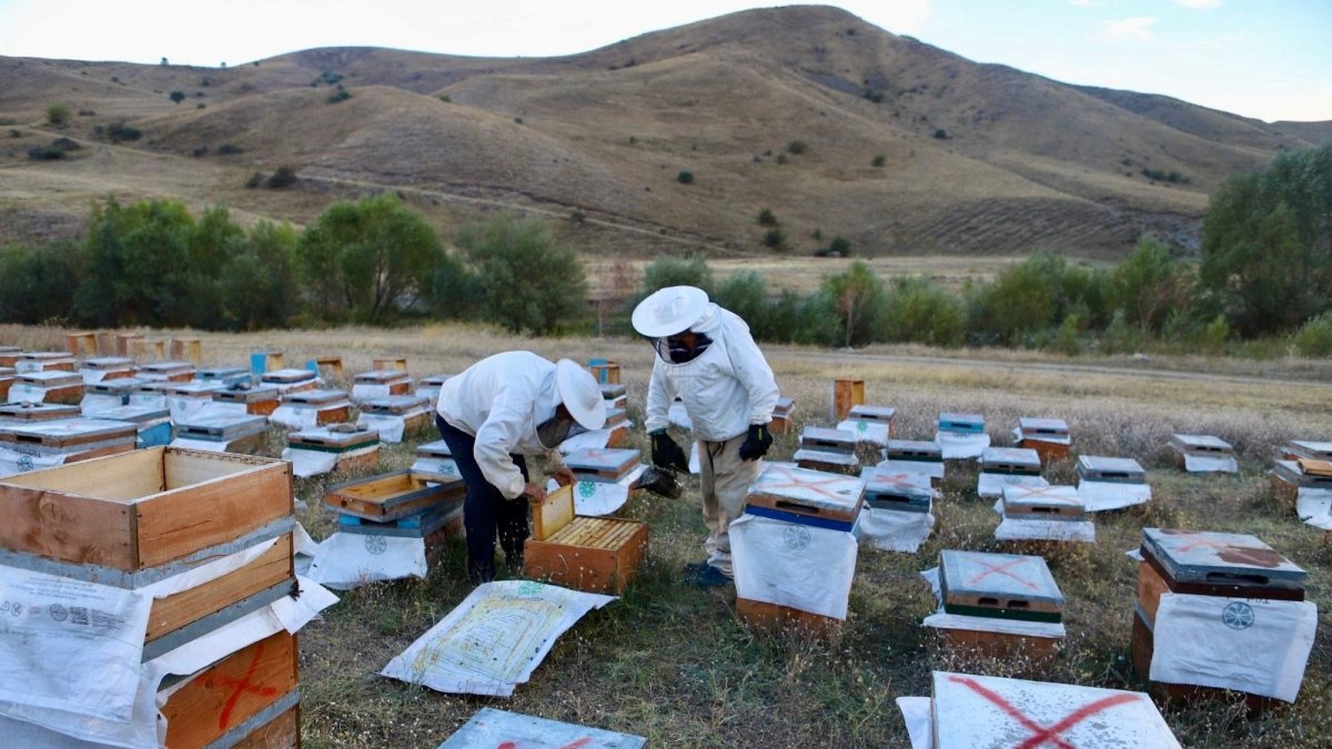 Arıcılığa hobi olarak başlayan emekli polis memuru ve abisi 7 ton bal üretti