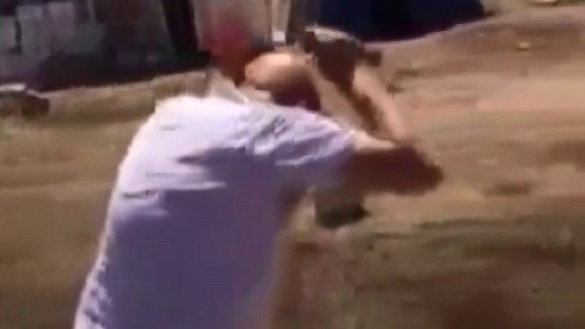 Arıcılık dede mesleği dedi, arılar saldırdı