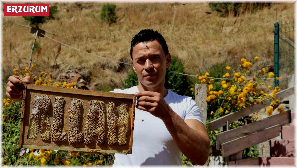 Arılara yazmayı öğreten adam