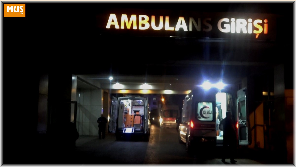 Armut toplarken ağaçtan düşen şahıs yaralandı