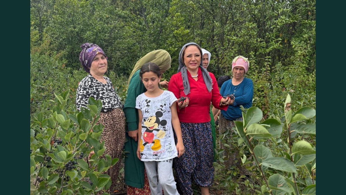 Aronya Akçaabat'tan dünyaya açılıyor