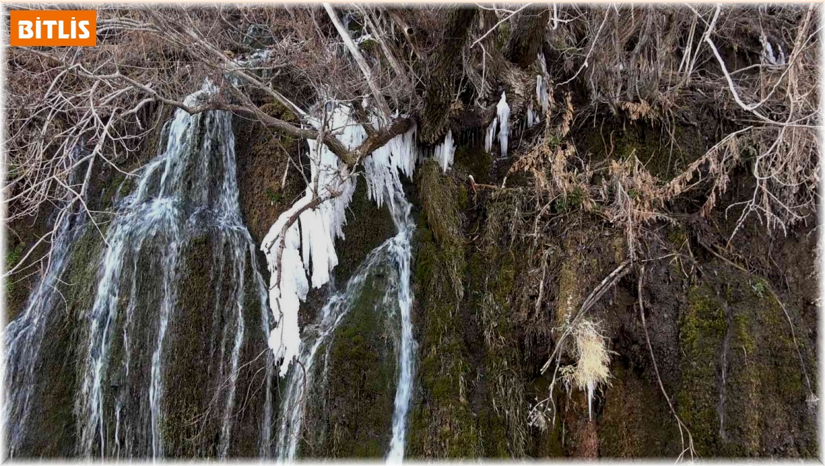 Arpet Şelalesi kısmen buz tuttu