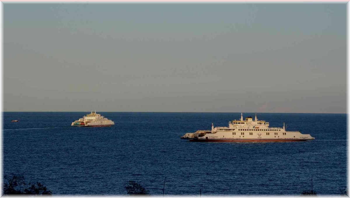 ASAD Derneği, Van Gölü Havzası için kolları sıvadı