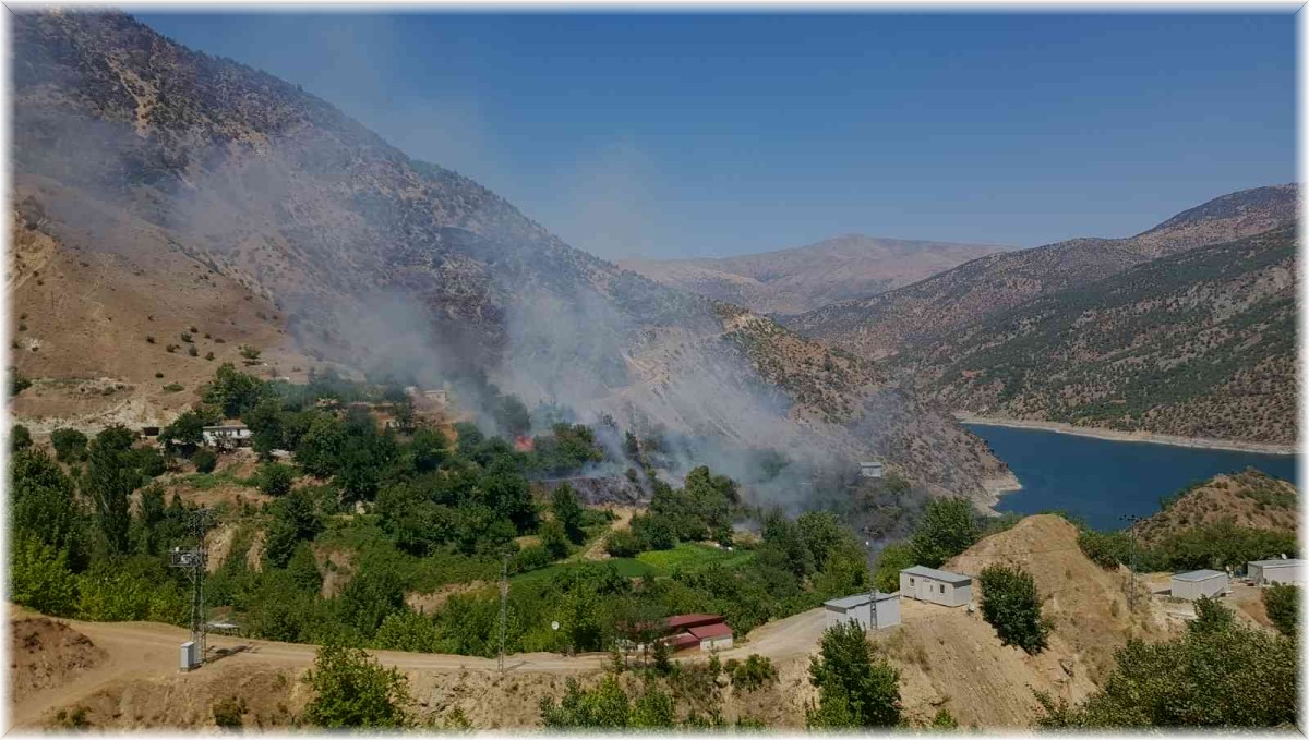 Aşırı sıcaklar yangına sebep oluyor