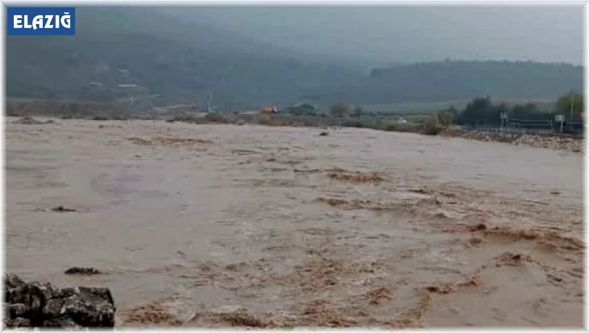 Aşırı yağış sonrası Dipni çayı coştu