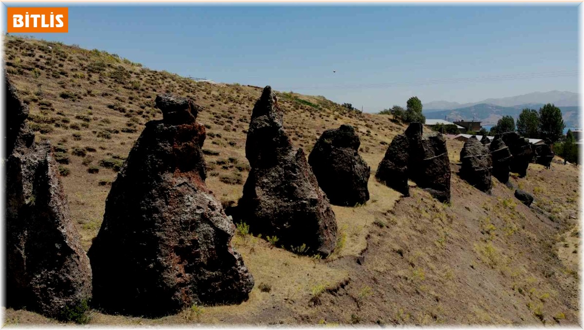 Asırlık 'Nemrut Develeri' yok olma tehlikesiyle karşı karşıya