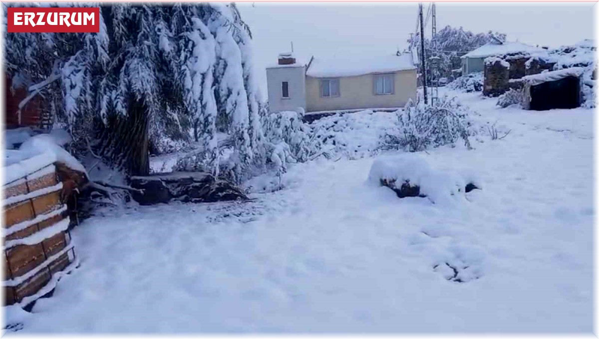 Aşkale'de 2 bin 400 rakımdaki köyler beyaza büründü