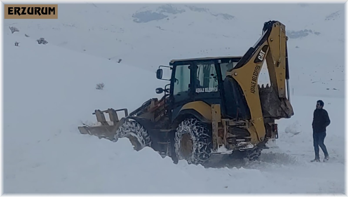 Aşkale'de aniden bastıran tipi geçit vermedi