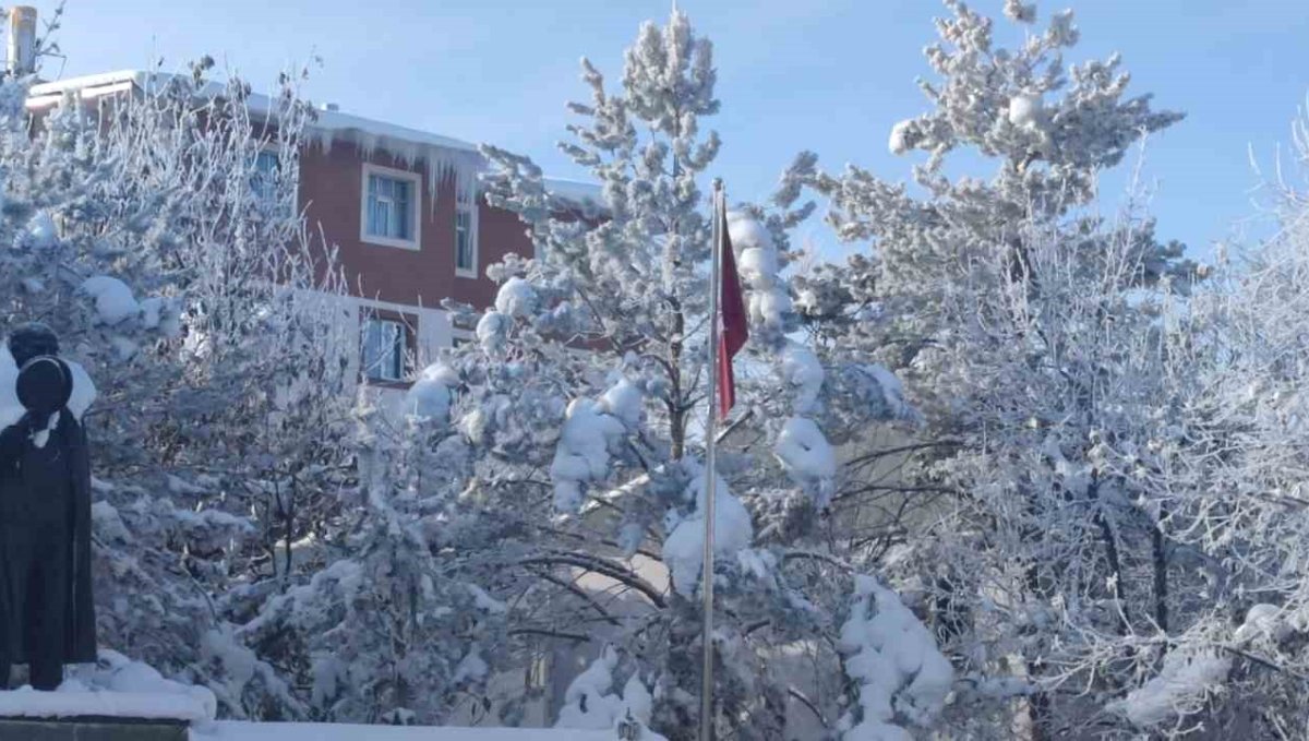 Aşkale'de dondurucu soğuklar hayatı felç etti