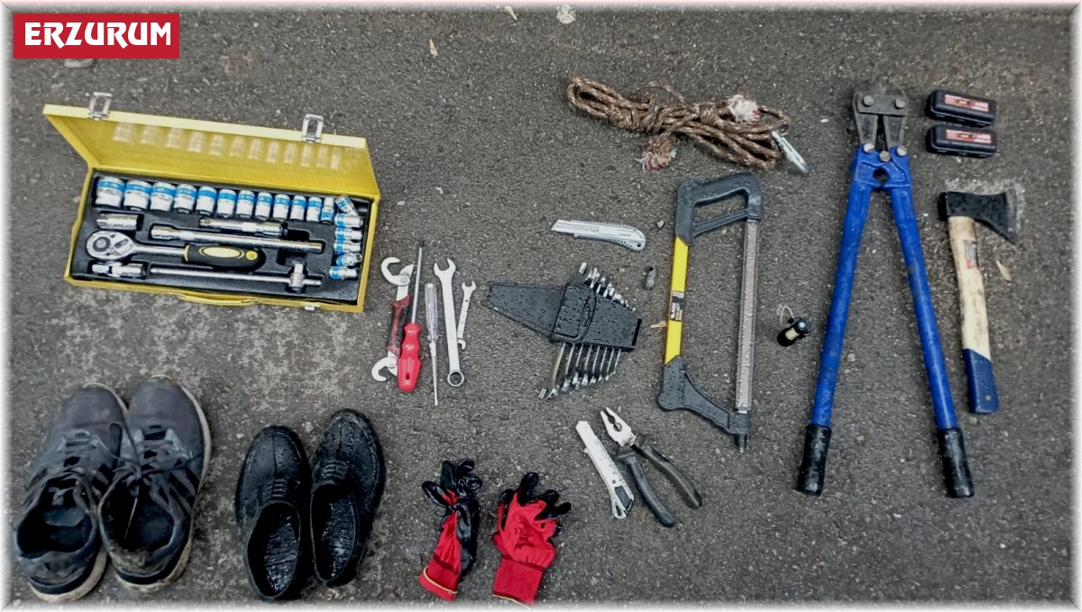 Aşkale'de kablo hırsızları yakalandı