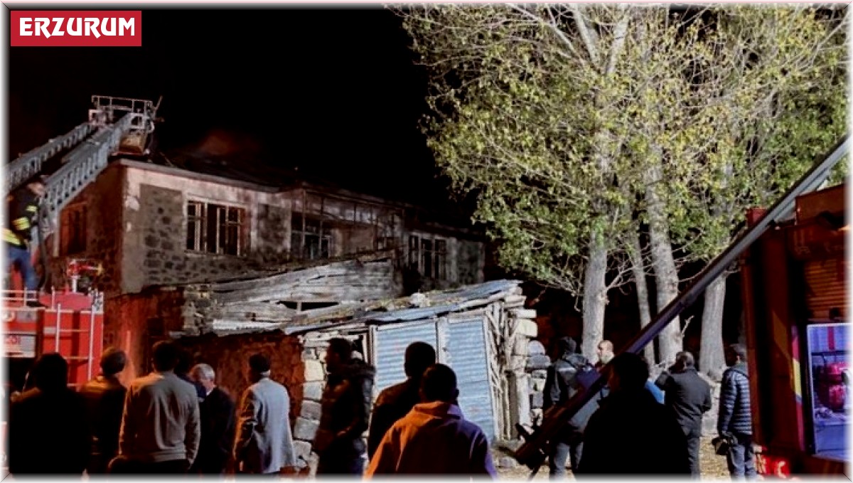 Aşkale'de köydeki yangın korkuttu