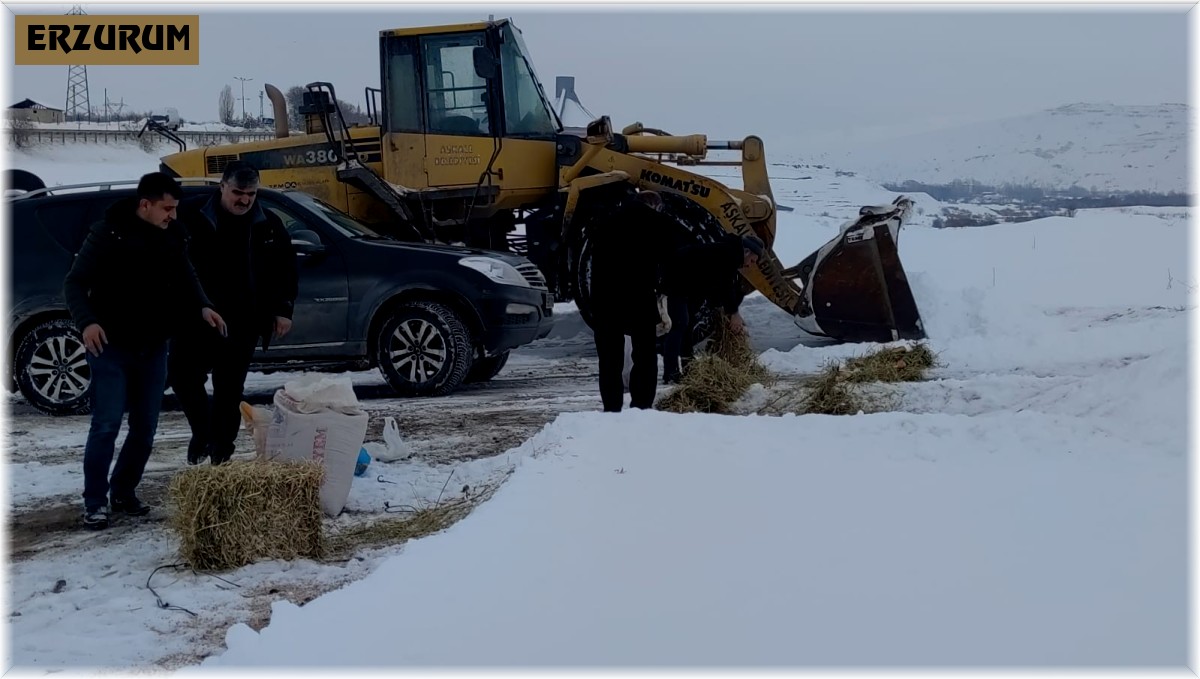 Aşkale'de sokak ve yaban hayvanları beslendi