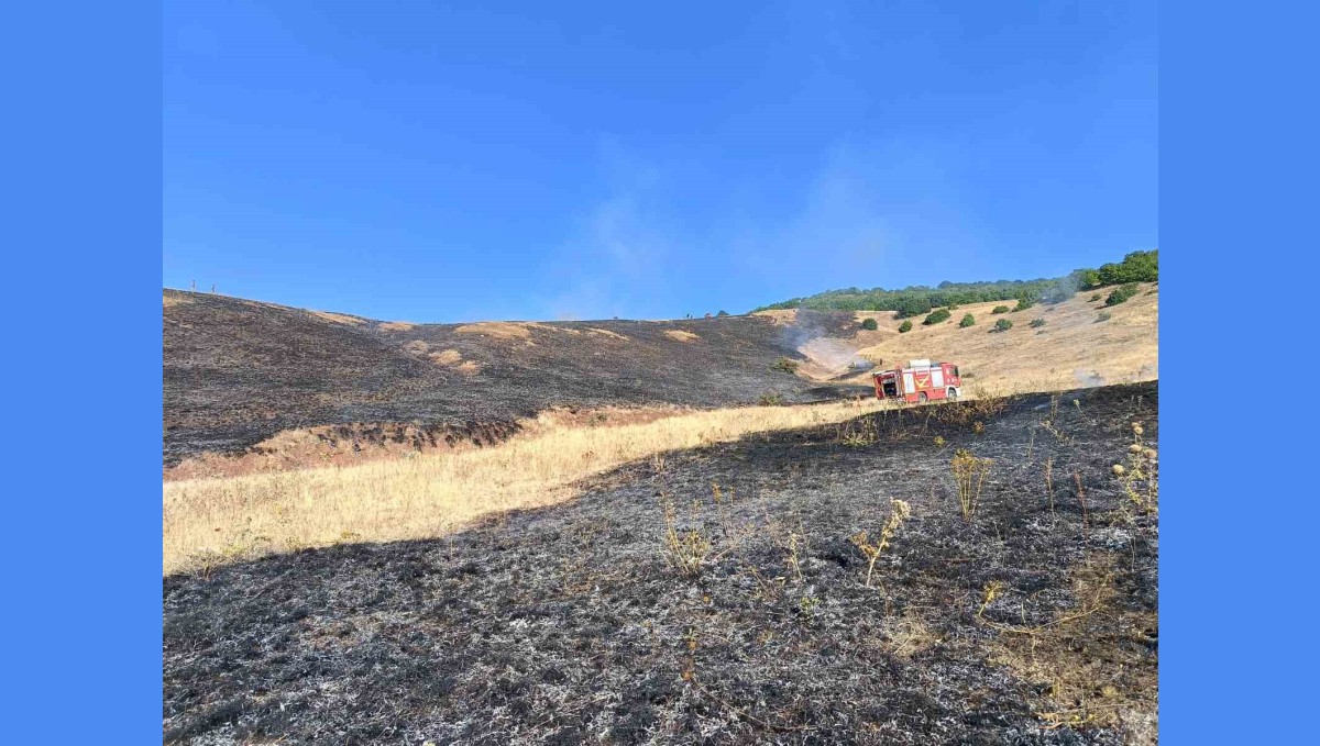 Aşkale Güneyçam Köyü'nde anız yangını: 100 dönüm alan kül oldu